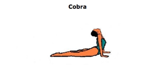 Bí quyết để con bạn cao thêm 6cm mỗi năm ngay cả khi đã dậy thì - Ảnh 1 Bí quyết để con bạn cao thêm 6cm mỗi năm ngay cả khi đã dậy thì - Ảnh 1