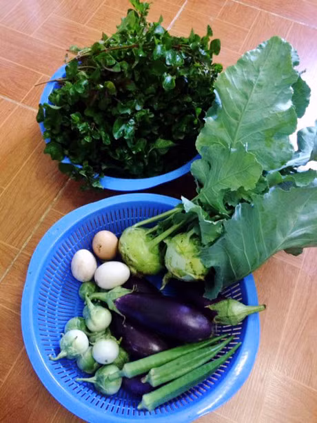 Me 7X khien chong them ne phuc nho vuon rau san thuong - Anh 5