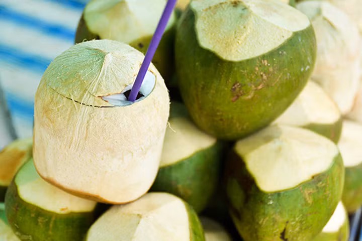 Mẹ bầu học ngay 5 kinh nghiệm chọn dừa ngon đúng chuẩn Bến Tre