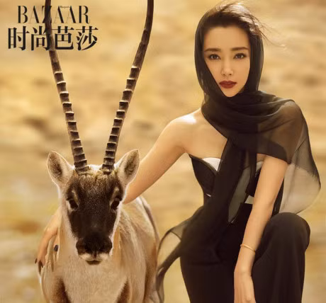 Ly Bang Bang dep long lay giua thien nhien hoang da - Anh 3