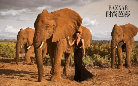 Ly Bang Bang dep long lay giua thien nhien hoang da - Anh 5