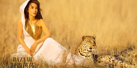 Ly Bang Bang dep long lay giua thien nhien hoang da - Anh 1