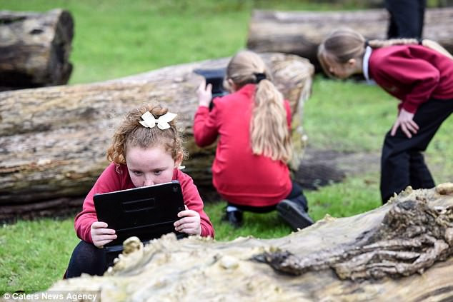 Không gian ngoài trời của trường đã biến thành sân chơi tự nhiên cho trẻ em khám phá Không gian ngoài trời của trường đã biến thành sân chơi tự nhiên cho trẻ em khám phá