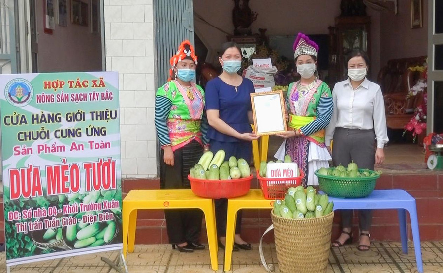 Năm 2021, dưa mèo của HTX Nông sản sạch Tây Bắc được công nhận là sản phẩm OCOP 3 sao.