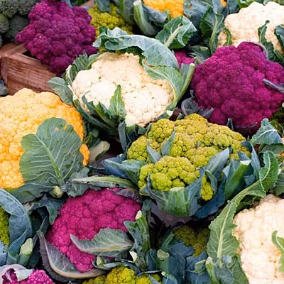 Tan muc sup so cau vong duoc ua chuong-Hinh-6