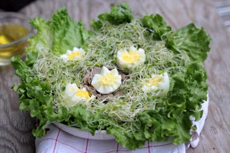 Thuc don mon ngon ca tuan cho ban - Anh 3