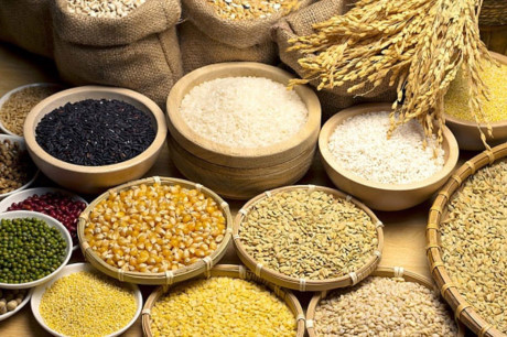 Các loại thực phẩm hàng đầu dành cho người mắc bệnh máu nhiễm mỡ - Ảnh 6 Cac loai thuc pham hang dau danh cho nguoi mac benh mau nhiem mo - Anh 6