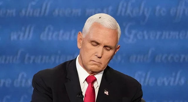 Một con ruồi đậu trên mái tóc Phó TT Mỹ Mike Pence khi tranh luận với Thượng nghị sĩ Kamala Harris.