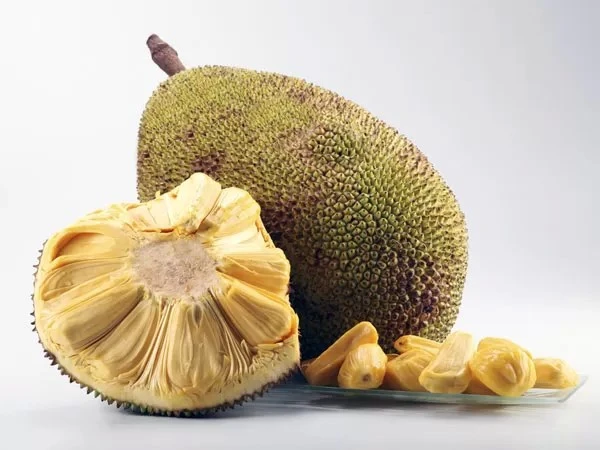15 lợi ích của trái mít mà bạn không ngờ tới