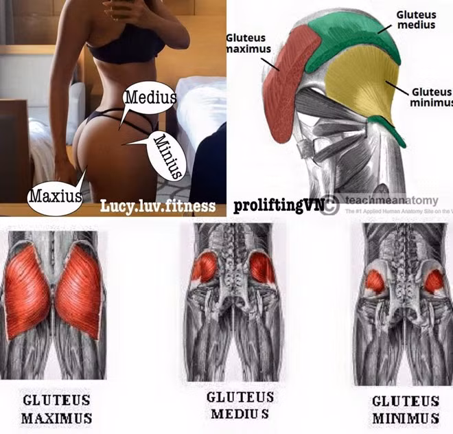 9X chia sẻ bài tập sở hữu vòng 3 nóng bỏng