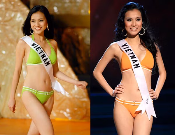 Từ danh hiệu trong nước, Thùy Lâm được đại diện cho Việt Nam tham gia Hoa hậu Hoàn Vũ quốc tế 2008.