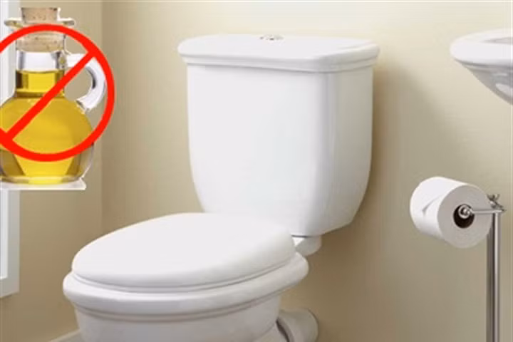 Lý do bạn không được đổ thức ăn dầu mỡ vào toilet