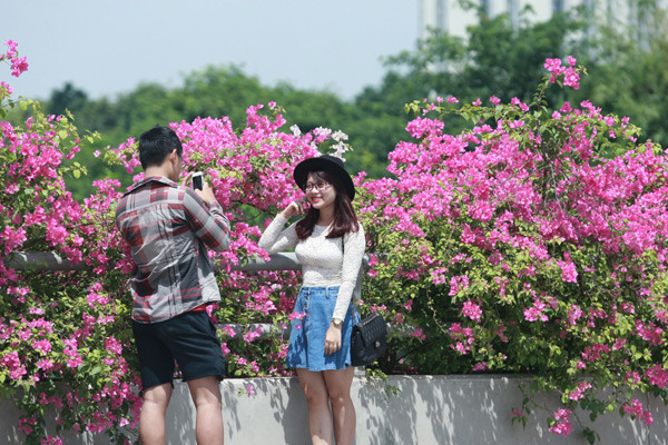 Giới trẻ mê mẩn chụp ảnh cùng hoa giấy đẹp rực rỡ ảnh 10