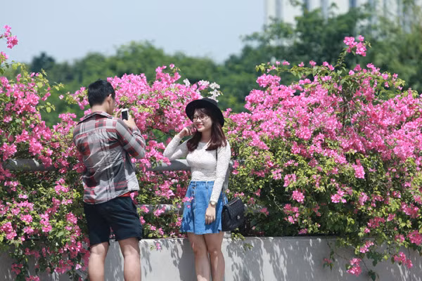 Giới trẻ mê mẩn chụp ảnh cùng hoa giấy đẹp rực rỡ ảnh 10