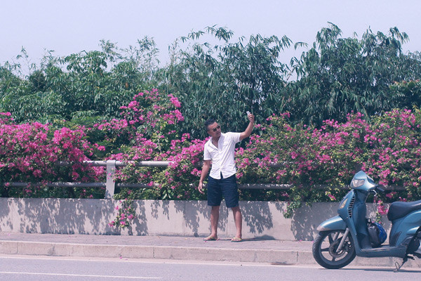 Giới trẻ mê mẩn chụp ảnh cùng hoa giấy đẹp rực rỡ ảnh 7