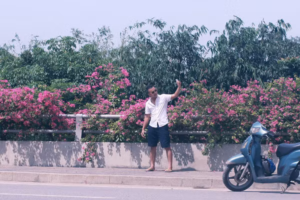 Giới trẻ mê mẩn chụp ảnh cùng hoa giấy đẹp rực rỡ ảnh 7