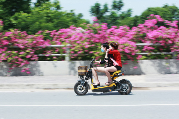 Giới trẻ mê mẩn chụp ảnh cùng hoa giấy đẹp rực rỡ ảnh 6