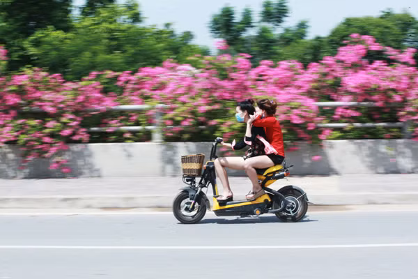 Giới trẻ mê mẩn chụp ảnh cùng hoa giấy đẹp rực rỡ ảnh 6