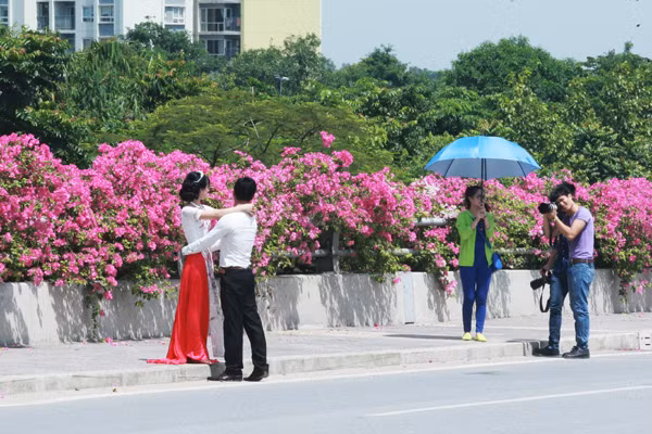 Giới trẻ mê mẩn chụp ảnh cùng hoa giấy đẹp rực rỡ ảnh 9