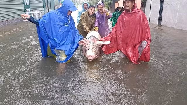 Hạ nguồn hồ Kẻ Gỗ bị nhấn chìm, Hà Tĩnh vội vã di dời hàng ngàn hộ dân ảnh 1