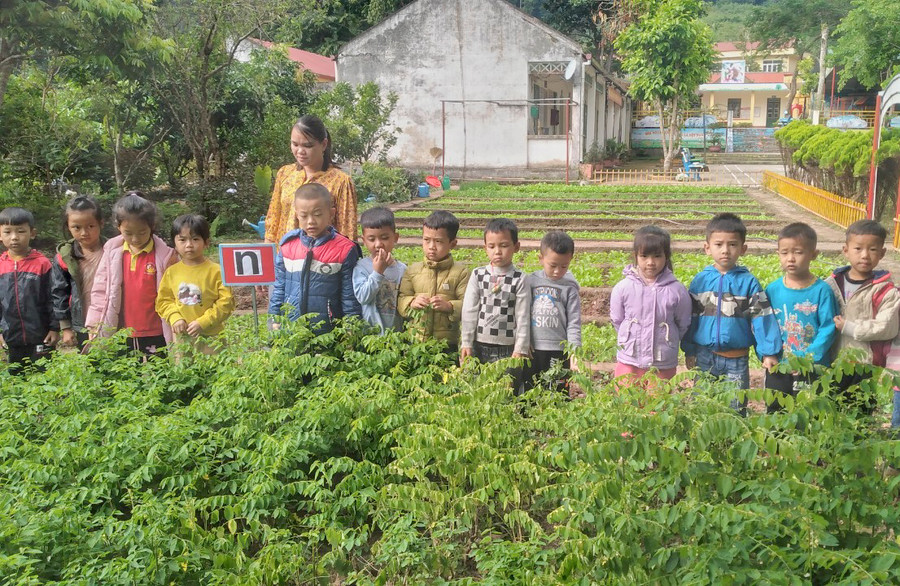 Cô và trò Trường Mầm non Sín Thầu, huyện Mường Nhé, tỉnh Điện Biên trong giờ học trải nghiệm. Cô và trò Trường Mầm non Sín Thầu, huyện Mường Nhé, tỉnh Điện Biên trong giờ học trải nghiệm.