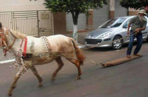 Những hành động khó lý giải