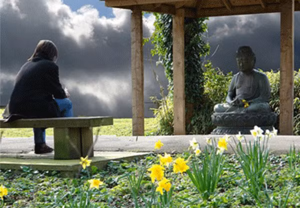 Thấu triệt triết lý "hai con dê qua một cây cầu" để cả đời không còn hận thù, phiền lụy ảnh 1