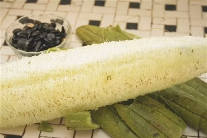 Da mịn màng, sạch mụn lưng vĩnh viễn nhờ xà phòng xơ mướp