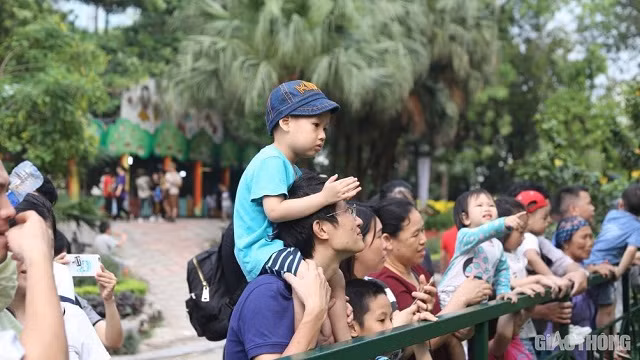 Nhiều ông bố phải cho con ngồi trên vai để tránh dòng người đông đúc cũng như quan sát con thú dễ dàng hơn.