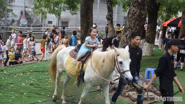 Dịch vụ cưỡi ngựa thu hút khá nhiều người tham gia, trong đó đa phần là các em nhỏ. Mỗi lượt như vậy, du khách phải bỏ thêm 30.000 đồng đối với trẻ em và 40.000 đồng đối với người lớn.
