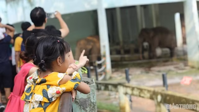 Đây cũng là dịp để các em nhỏ có được những trải nghiệm thú vị.