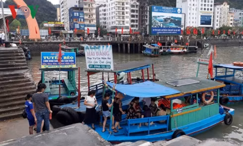 Giá vé dịch vụ tại Cát Bà được niêm yết công khai phục vụ du khách.