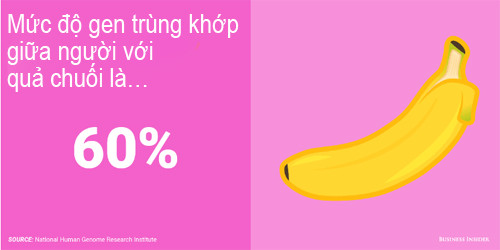 Phát hiện kinh ngạc về mức độ gen trùng khớp giữa người với động vật - 8