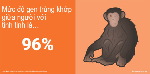 Phát hiện kinh ngạc về mức độ gen trùng khớp giữa người với động vật - 2
