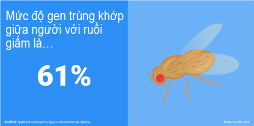 Phát hiện kinh ngạc về mức độ gen trùng khớp giữa người với động vật - 6