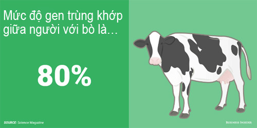 Phát hiện kinh ngạc về mức độ gen trùng khớp giữa người với động vật - 5