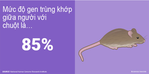 Phát hiện kinh ngạc về mức độ gen trùng khớp giữa người với động vật - 4