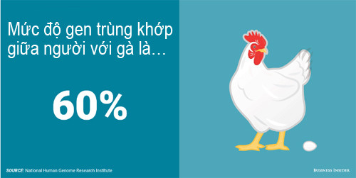 Phát hiện kinh ngạc về mức độ gen trùng khớp giữa người với động vật - 7