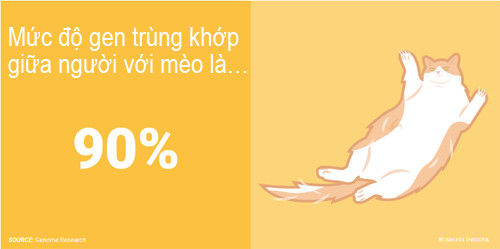 Phát hiện kinh ngạc về mức độ gen trùng khớp giữa người với động vật - 3