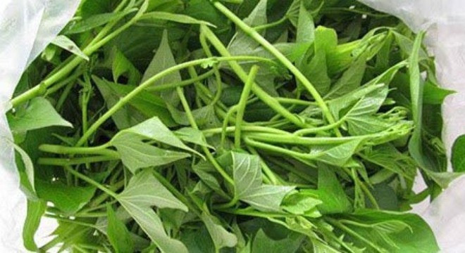 Sự kỳ diệu của rau khoai lang gấp nhiều lần củ khoai khiến bạn mê