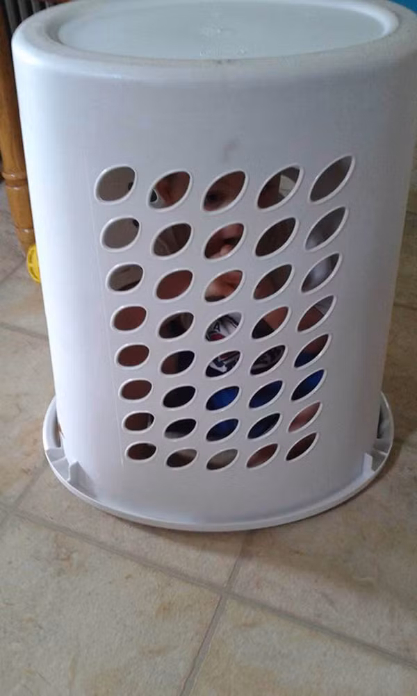 Trẻ chơi trốn tìm