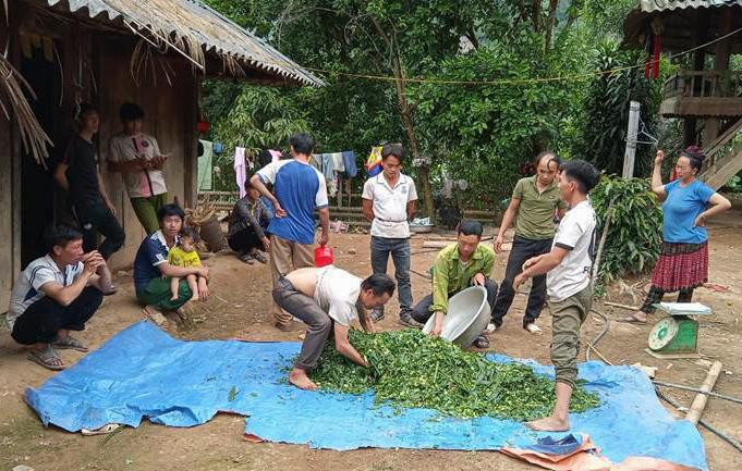 Các lớp dạy nghề theo nhu cầu được xem là hướng "xóa nghèo" cho nhiều nông dân ở biên giới Nậm Pồ.