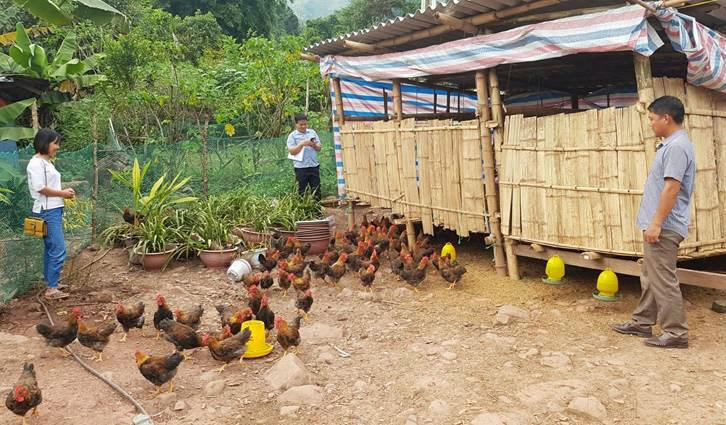 Đa phần các lớp nghề tại Nậm Pồ hiện nay là đào tạo kỹ thuật chăn nuôi và phòng chống dịch bệnh. Đa phần các lớp nghề tại Nậm Pồ hiện nay là đào tạo kỹ thuật chăn nuôi và phòng chống dịch bệnh.