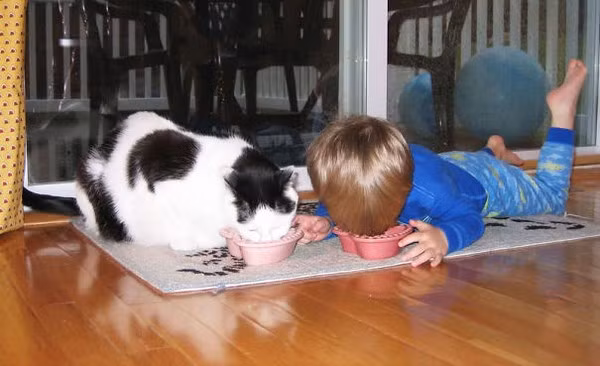 Bộ ảnh bé bắt chước động tác của thú cưng cực đáng yêu