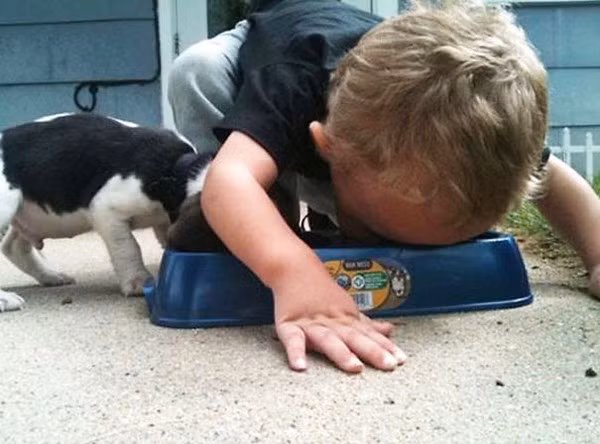 Bộ ảnh bé bắt chước động tác của thú cưng cực đáng yêu