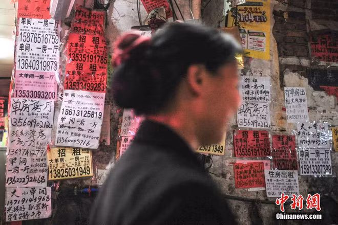 Một ngày làm việc của người sàng lọc ảnh khiêu dâm trên mạng ảnh 4