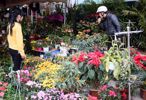 Tết về rộn ràng trên khắp phố phường Hà Nội