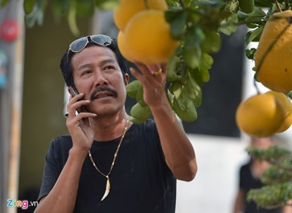 Mãn nhãn ngắm cây bưởi bonsai 68 quả “trăm triệu chưa mua được“ ảnh 2