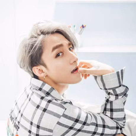 Son Tung MTP duoc bao chi Quoc te vi von la Justin Bieber Viet Nam - Anh 2