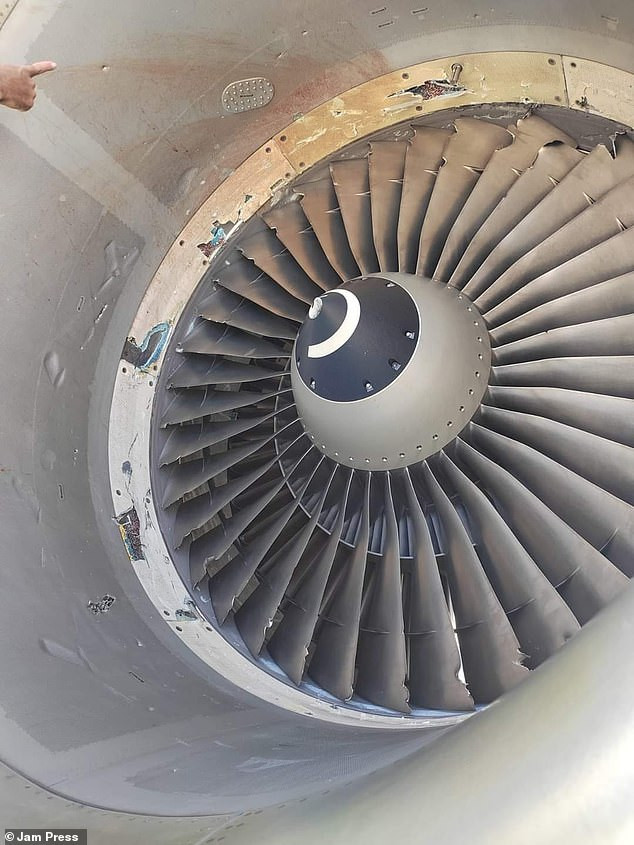 Động cơ máy bay bị chim tấn công. Động cơ máy bay bị chim tấn công.